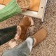 Угги Зимние угги UGG Classic Mini II Chestnut