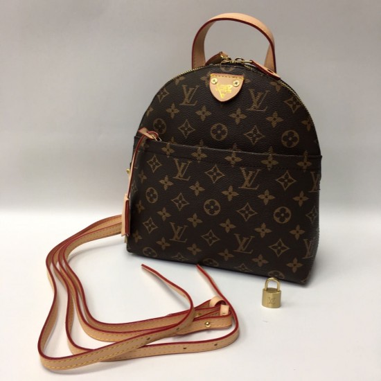 Рюкзак Louis Vuitton PALM SPRINGS BACKPACK PM