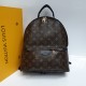 Рюкзак Louis Vuitton PALM SPRINGS PM