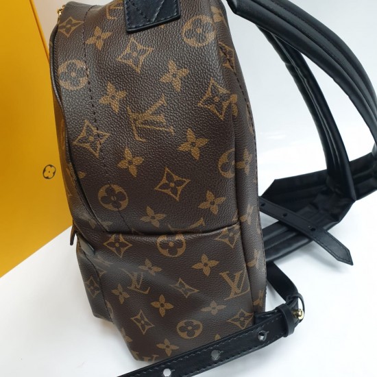 Рюкзак Louis Vuitton PALM SPRINGS PM