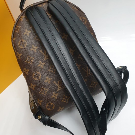 Рюкзак Louis Vuitton PALM SPRINGS PM