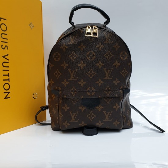 Рюкзак Louis Vuitton PALM SPRINGS PM