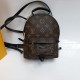 Рюкзак Louis Vuitton PALM SPRINGS MINI