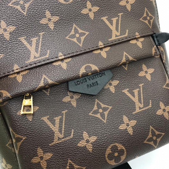 Рюкзак Louis Vuitton PALM SPRINGS PM