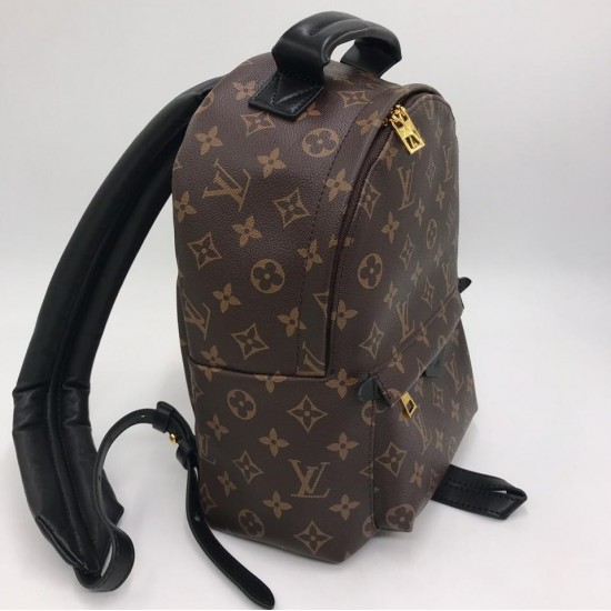 Рюкзак Louis Vuitton PALM SPRINGS PM