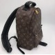 Рюкзак Louis Vuitton PALM SPRINGS PM