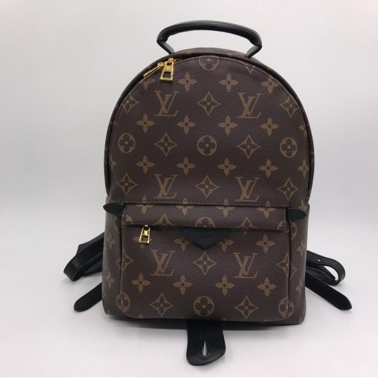 Рюкзак Louis Vuitton PALM SPRINGS PM