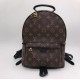 Рюкзак Louis Vuitton PALM SPRINGS PM