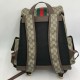 Рюкзак Gucci Ophidia GG