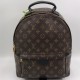 Рюкзак Louis Vuitton PALM SPRINGS MM