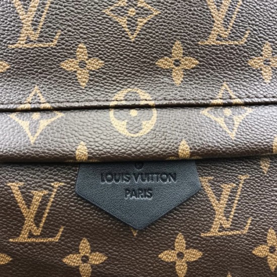 Рюкзак Louis Vuitton PALM SPRINGS MM