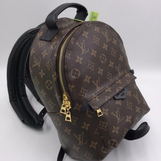 Рюкзак Louis Vuitton PALM SPRINGS MM mini