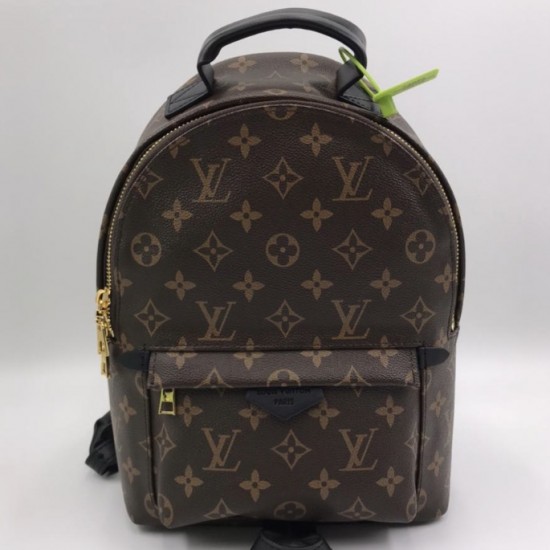 Рюкзак Louis Vuitton PALM SPRINGS MM mini