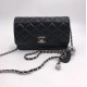 Сумка CHANEL Flap Bag