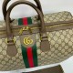 Сумка Gucci Ophidia GG