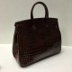 Сумка Hermes Birkin Croco