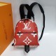 Сумка Louis Vuitton PALM SPRINGS