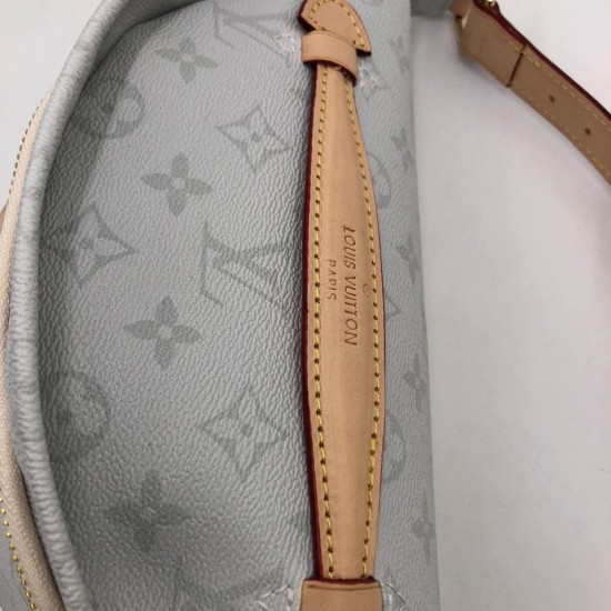 Сумка Louis Vuitton BUMBAG