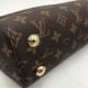 Сумка Louis Vuitton CLUNY BB