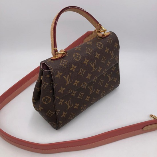 Сумка Louis Vuitton CLUNY BB