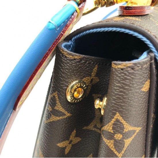 Сумка Louis Vuitton CLUNY BB