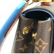 Сумка Louis Vuitton CLUNY BB