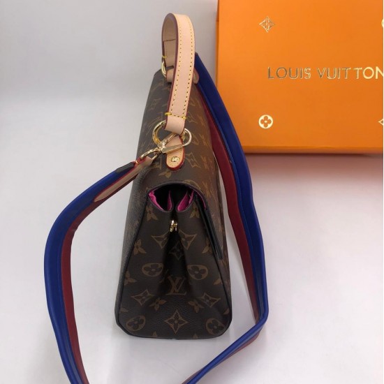 Сумка Louis Vuitton CLUNY BB