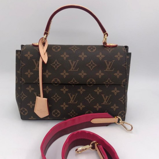 Сумка Louis Vuitton CLUNY BB